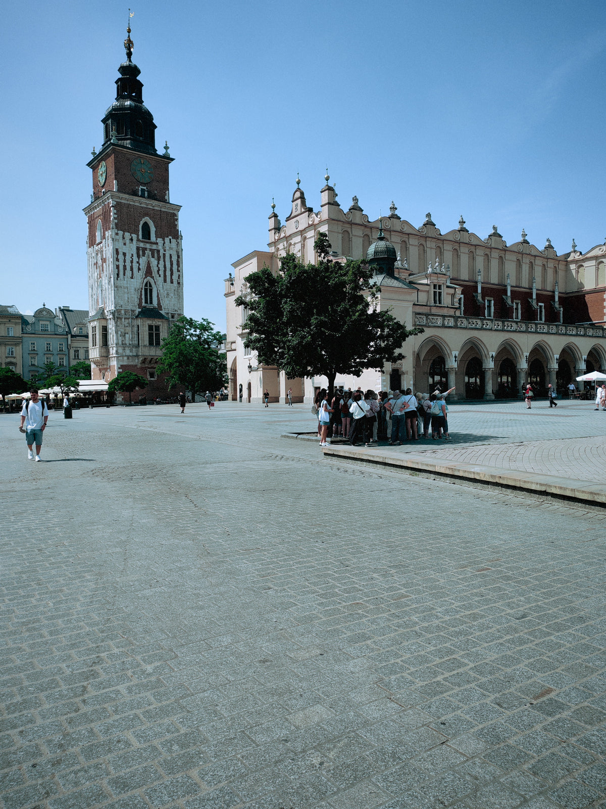 A krakkói Fő tér a Posztócsarnokkal és a Városháza tornyával.