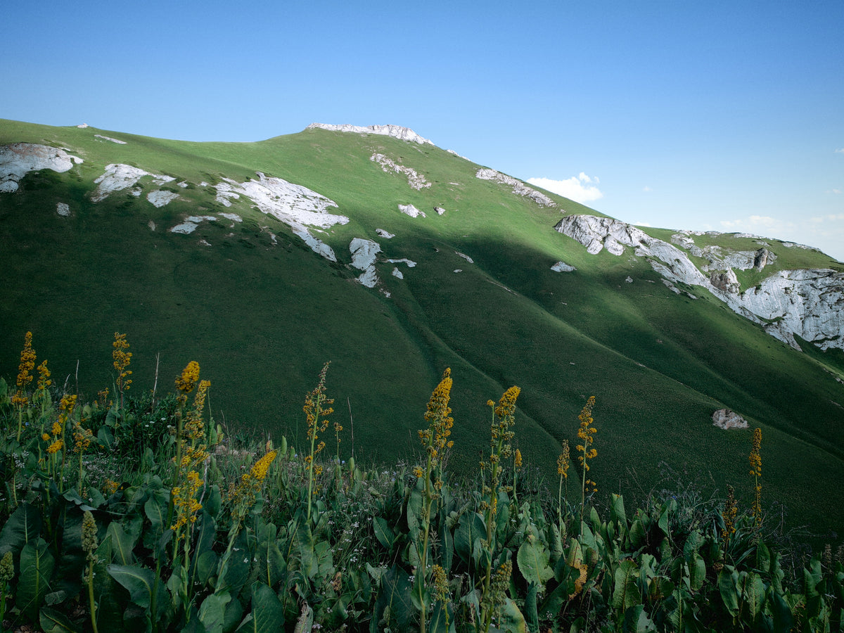 Panoráma a kirgiz hegyvidékről a hágó utáni szakaszon.